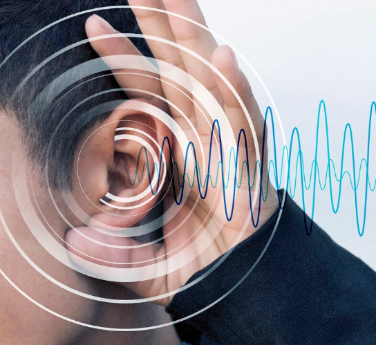 Учёные обнаружили новые типы клеток, важные для слуховой функции Учёные обнаружили новые типы клеток, важные для слуховой функции