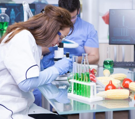 Влияние жирной пищи на иммунную систему: новые исследования Влияние жирной пищи на иммунную систему: новые исследования