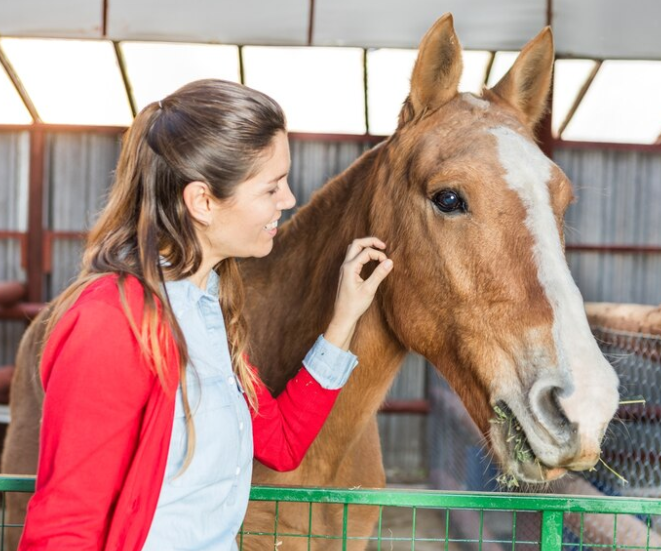 Редкая генетическая мутация улучшает метаболизм кислорода у лошадей, ослов и зебр