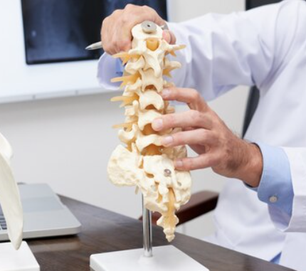 «Сахарный клей» для восстановления межпозвоночных дисков: инновация учёных «Сахарный клей» для восстановления межпозвоночных дисков: инновация учёных