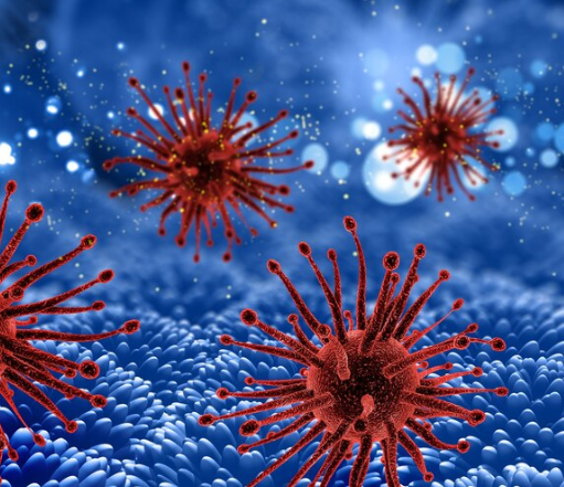 Совместное заражение Mycobacterium abscessus и Pseudomonas aeruginosa ослабляет иммунную систему