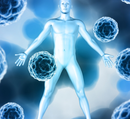 Потеря Y-хромосомы в иммунных клетках ухудшает прогноз при раке у мужчин