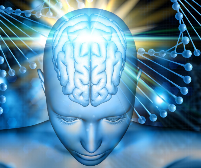 Связь структуры коры головного мозга с психическим здоровьем: результаты международного исследования Связь структуры коры головного мозга с психическим здоровьем: результаты международного исследования