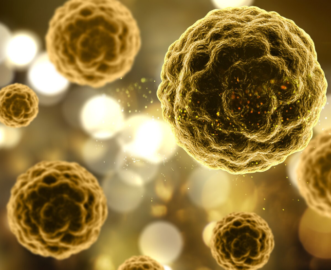 Защита от MRSA: открытие молекулы, блокирующей сигналы золотистого стафилококка