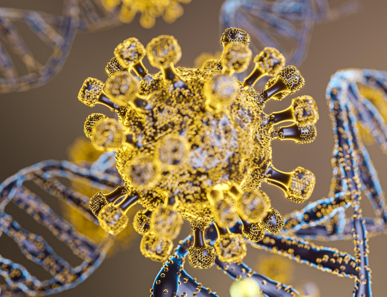 Роль кишечных бактерий и их взаимодействие с организмом: результаты нового исследования Роль кишечных бактерий и их взаимодействие с организмом: результаты нового исследования