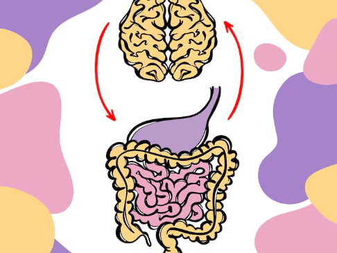 Тесная связь мозга и желудка: новый маркер психического здоровья Тесная связь мозга и желудка: новый маркер психического здоровья