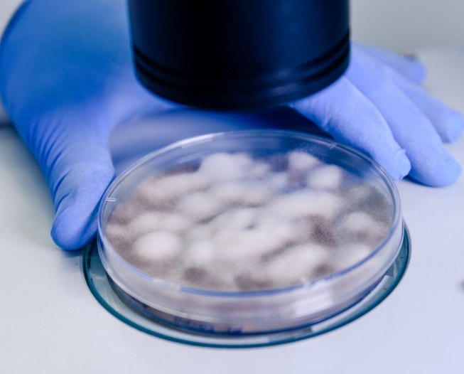 OncoGAN: новый подход к моделированию геномов раковых клеток