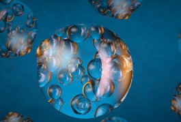 Влияние пер- и полифторалкильных веществ на клетки печени: гендерные различия и механизмы действия Влияние пер- и полифторалкильных веществ на клетки печени: гендерные различия и механизмы действия