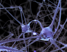 NeuroString: новая эра минимально инвазивной биоэлектроники