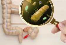 Микробиом кишечника и его влияние на здоровье: новые открытия и перспективы Микробиом кишечника и его влияние на здоровье: новые открытия и перспективы