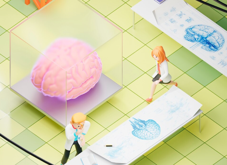 Иерархический механизм внимания мозга: от общей категории к конкретной детали Иерархический механизм внимания мозга: от общей категории к конкретной детали