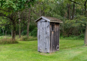 MycoToilet: первый в мире безводный туалет на основе грибов