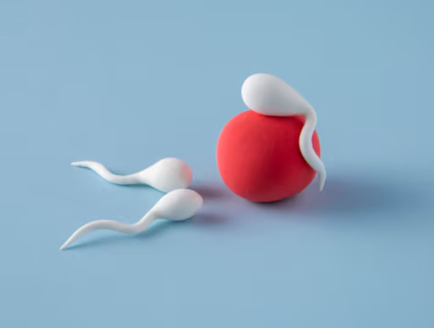 Заморозка яйцеклеток: тенденции и статистика