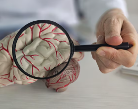 Прогнозирование болезни Паркинсона и деменции с тельцами Леви по уровню циркуляции жидкости в мозге Прогнозирование болезни Паркинсона и деменции с тельцами Леви по уровню циркуляции жидкости в мозге