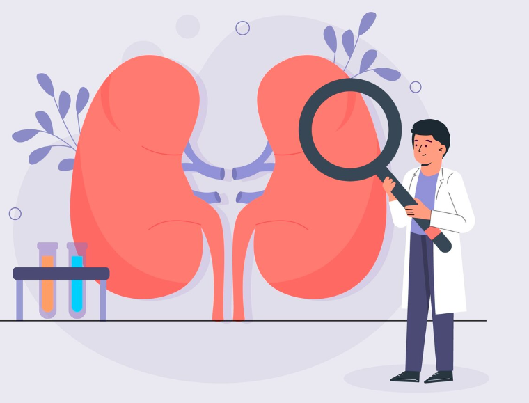 Стволовые клетки для улучшения работы артериовенозной фистулы: новое слово в лечении почечной недостаточности Стволовые клетки для улучшения работы артериовенозной фистулы: новое слово в лечении почечной недостаточности