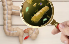 Двойные негативные Т-клетки подавляют воспаление в кишечнике: новое понимание болезни Крона Двойные негативные Т-клетки подавляют воспаление в кишечнике: новое понимание болезни Крона